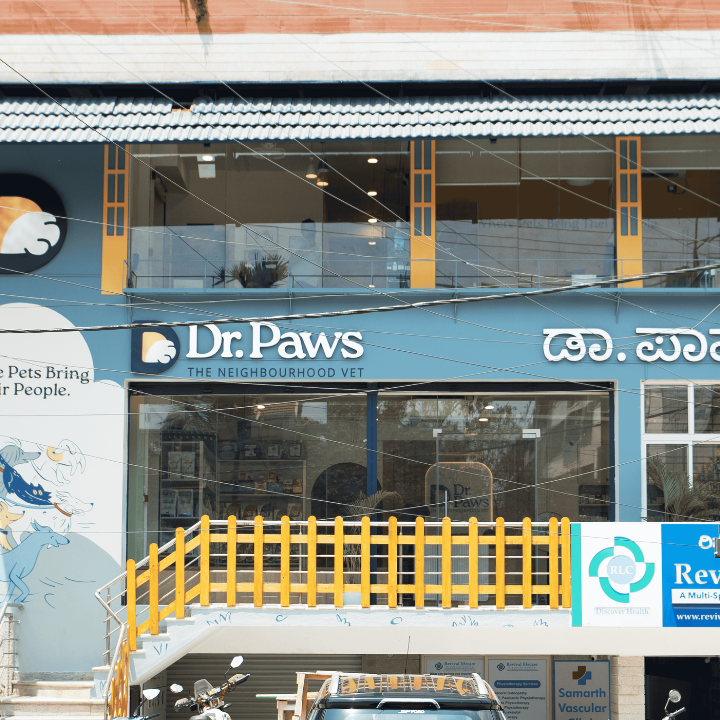 Dr. Paws HSR Layout | 24x7 Veterinary Hospital