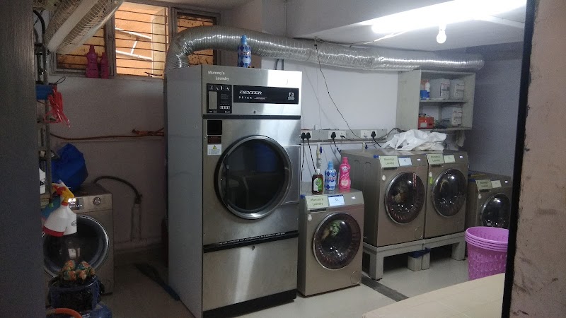 Mummy's Laundry
