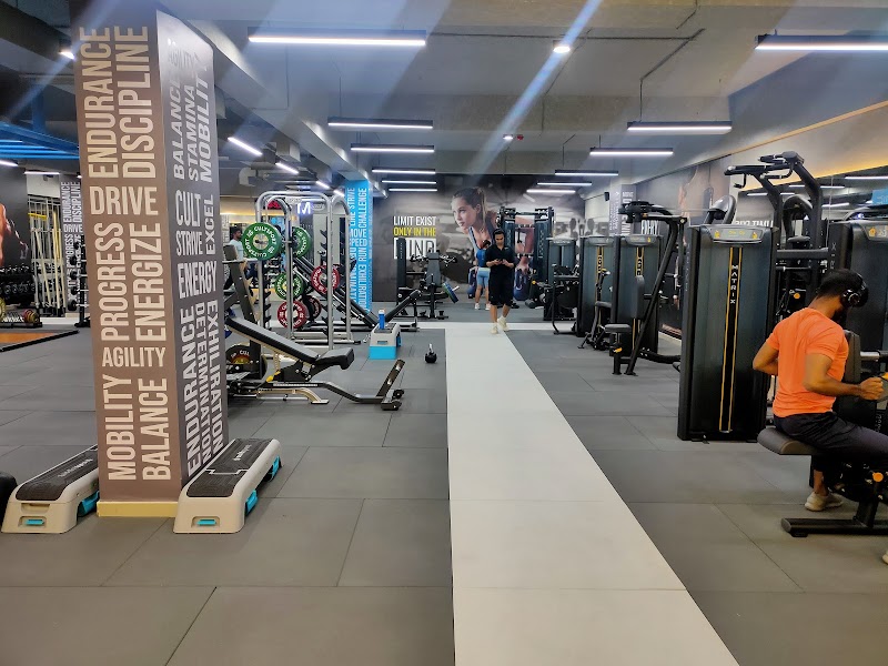 Cult Gym HSR Layout Sector 3 | Best Gym in HSR Layout Sec-3, Bengaluru